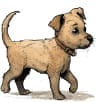 A puppy.