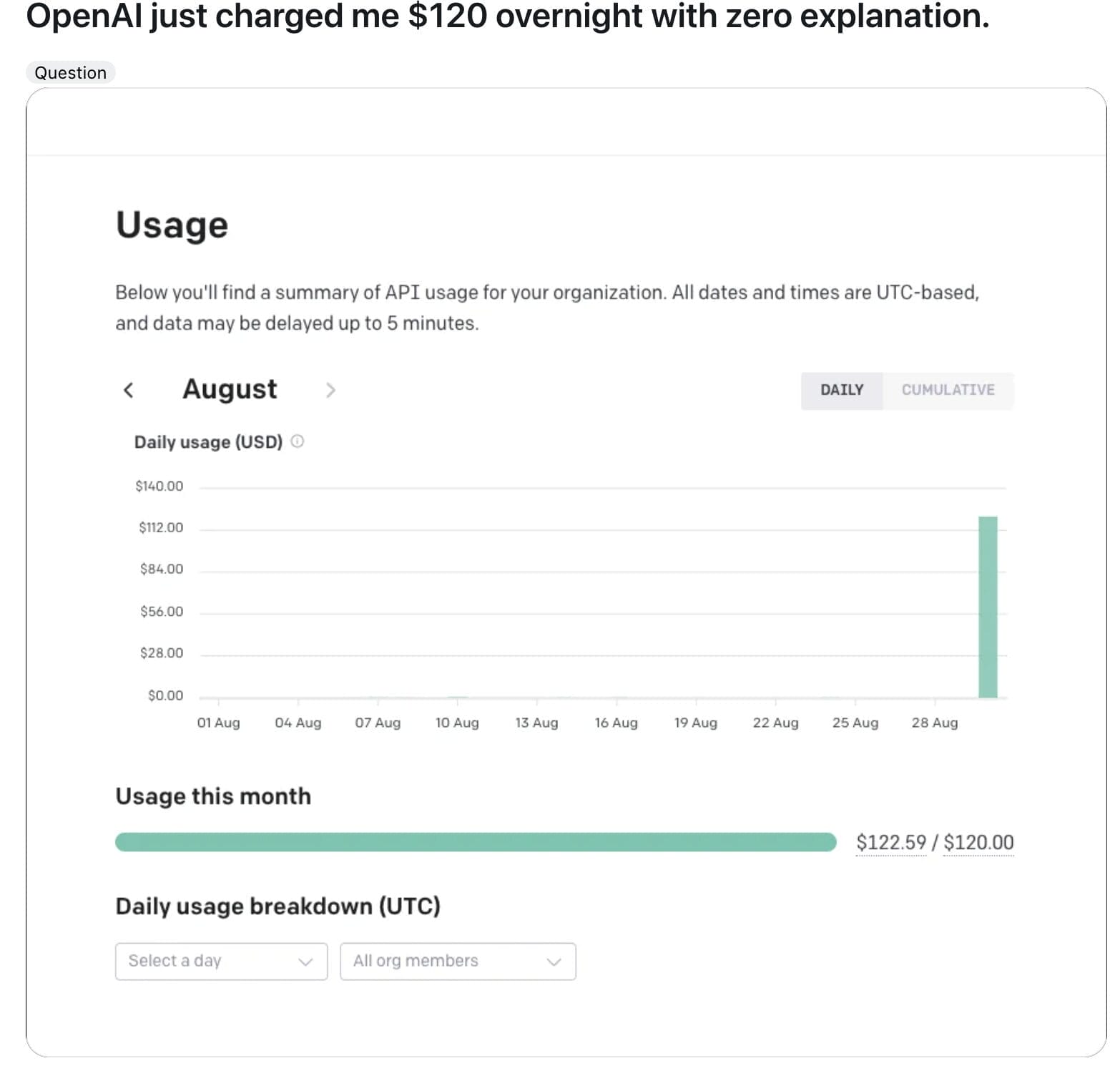 OpenAI's monthly summary of API usage for an organization.
